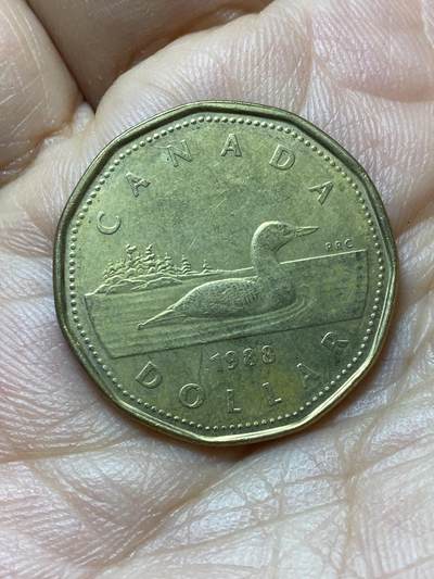 2026年第六场(总第一百七十五场）外国好品散币场(免佣金) - 加拿大🇨🇦1988年1元(伊丽莎白二世中年花冠，浅浮雕版，仅发行3年)