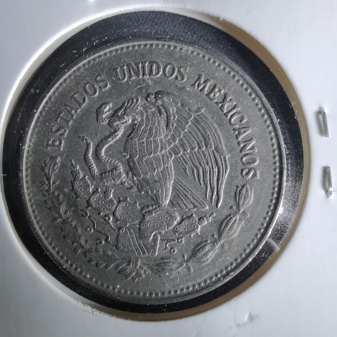 沼泽如烟--第958场