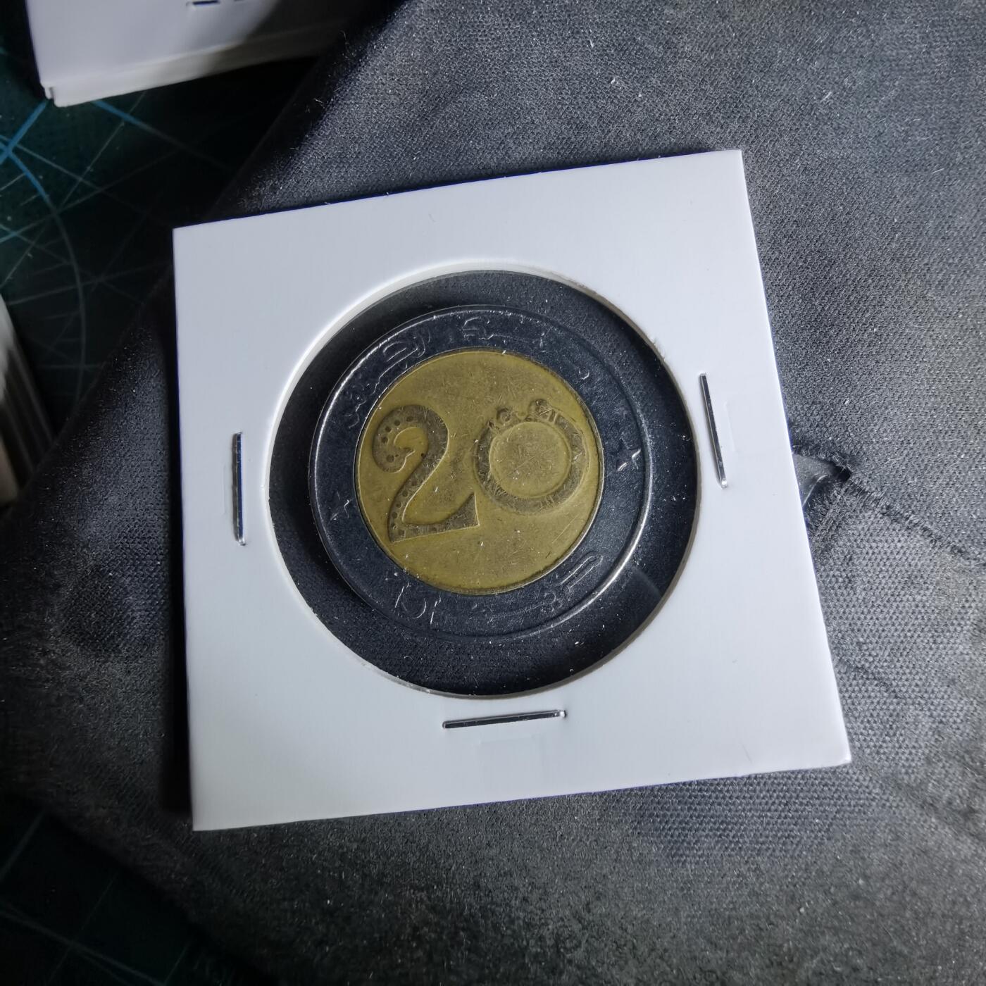 沼泽如烟--第958场