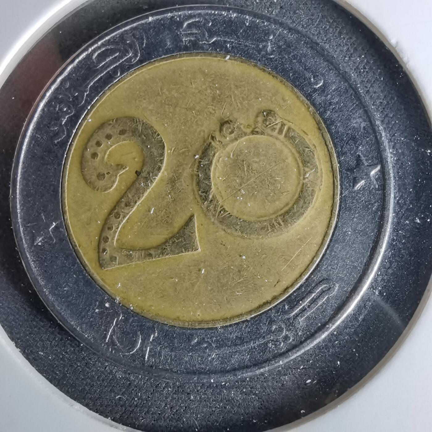 沼泽如烟--第958场