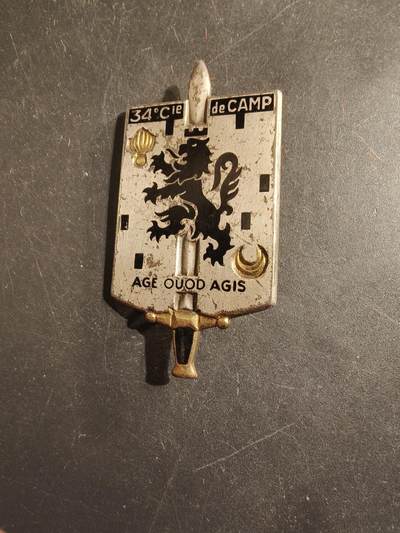 老王徽章第176期 - 法国第34营地连证章
