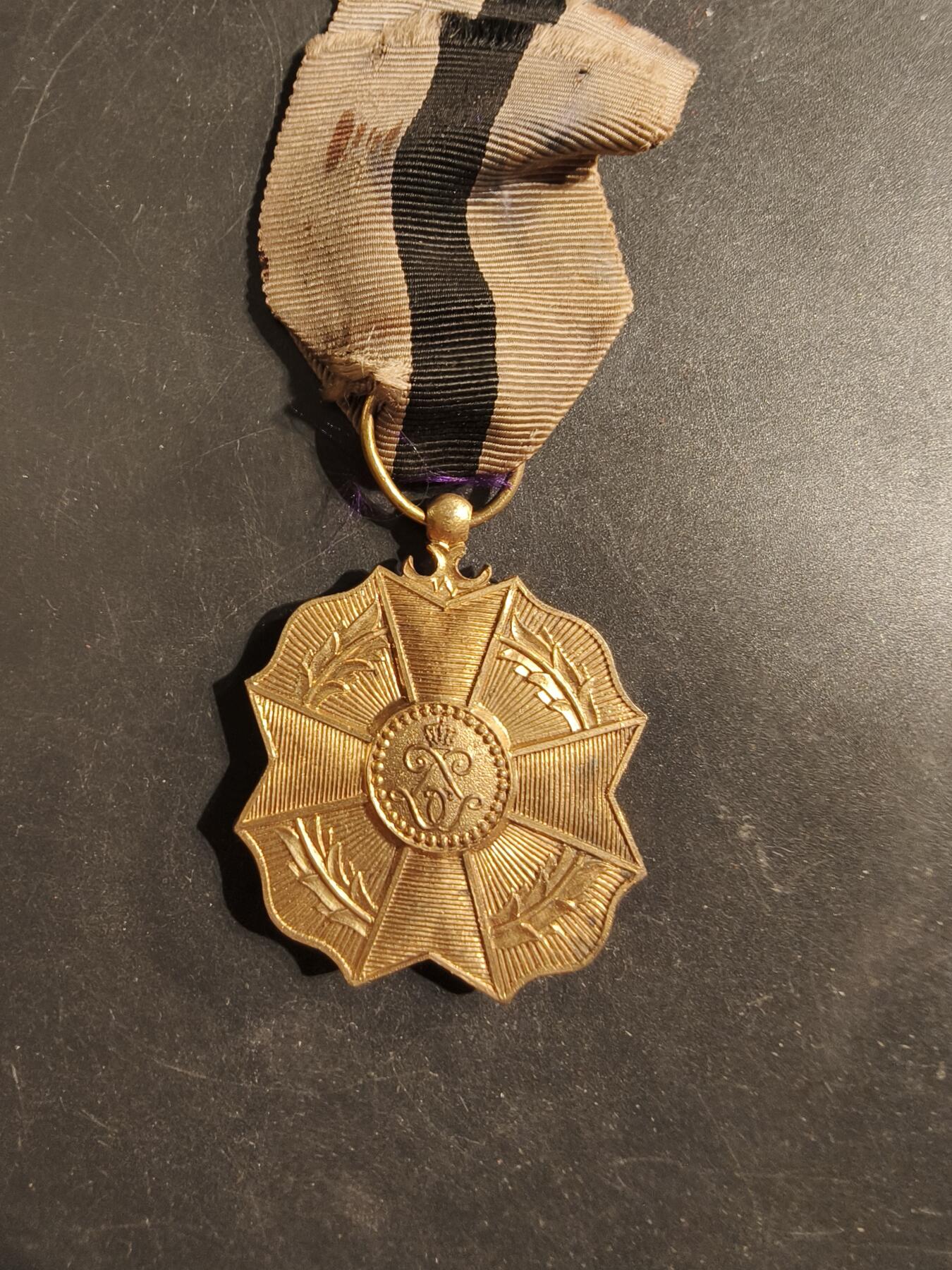 老王徽章第176期