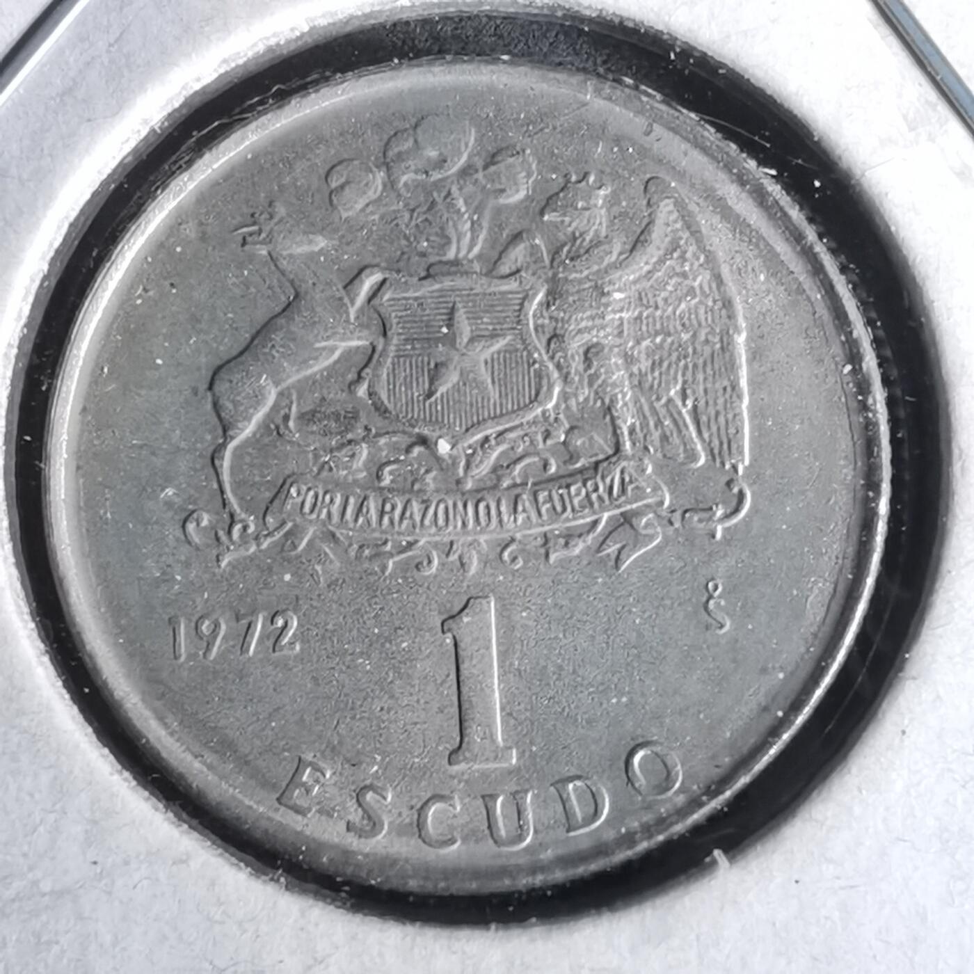 沼泽如烟--第958场