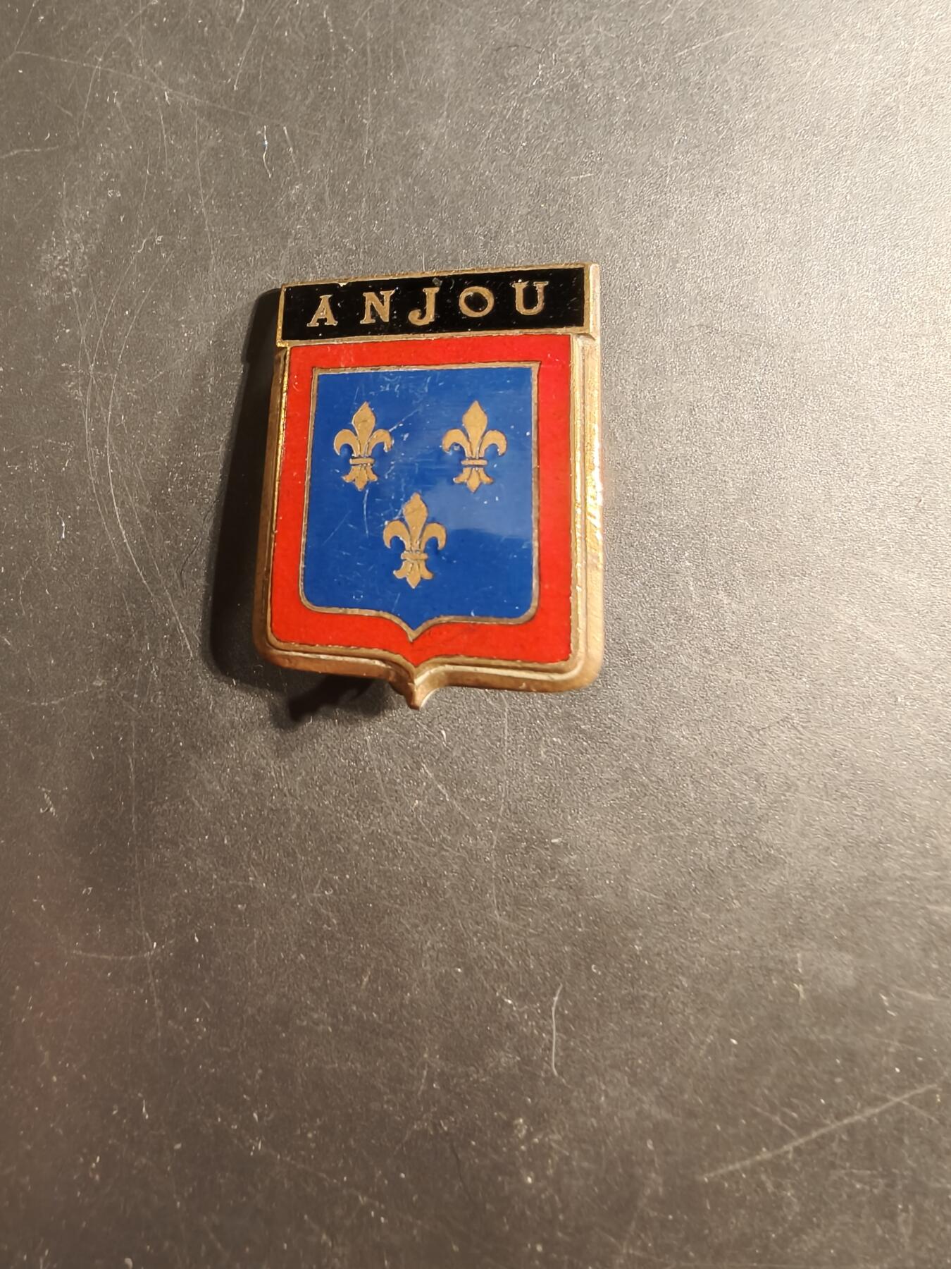 老王徽章第176期 法国昂热省证章