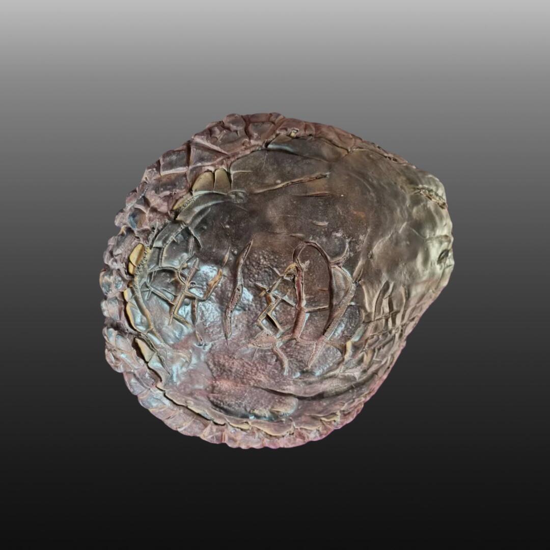 启元华旦票证专场 龟裂纹陨石