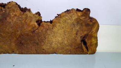 零元拍：NO78香杉木老根榴茶盘，尺寸约：750/180/250/35厚MM，满花满瘤，药香满鼻，无漆无蜡