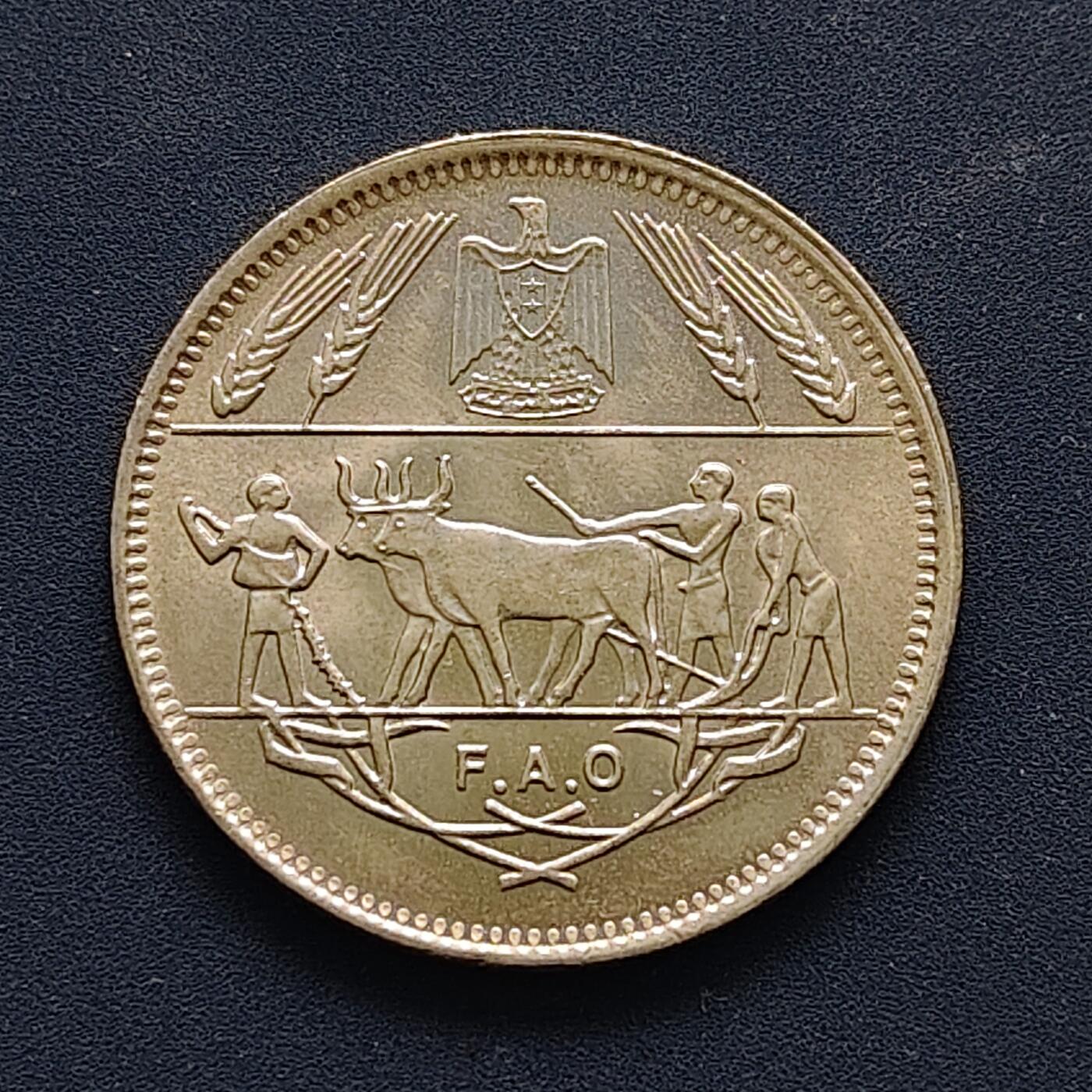 【全场包邮】纯粹捡漏拍494场 埃及1970年10皮阿斯特FAO纪念币