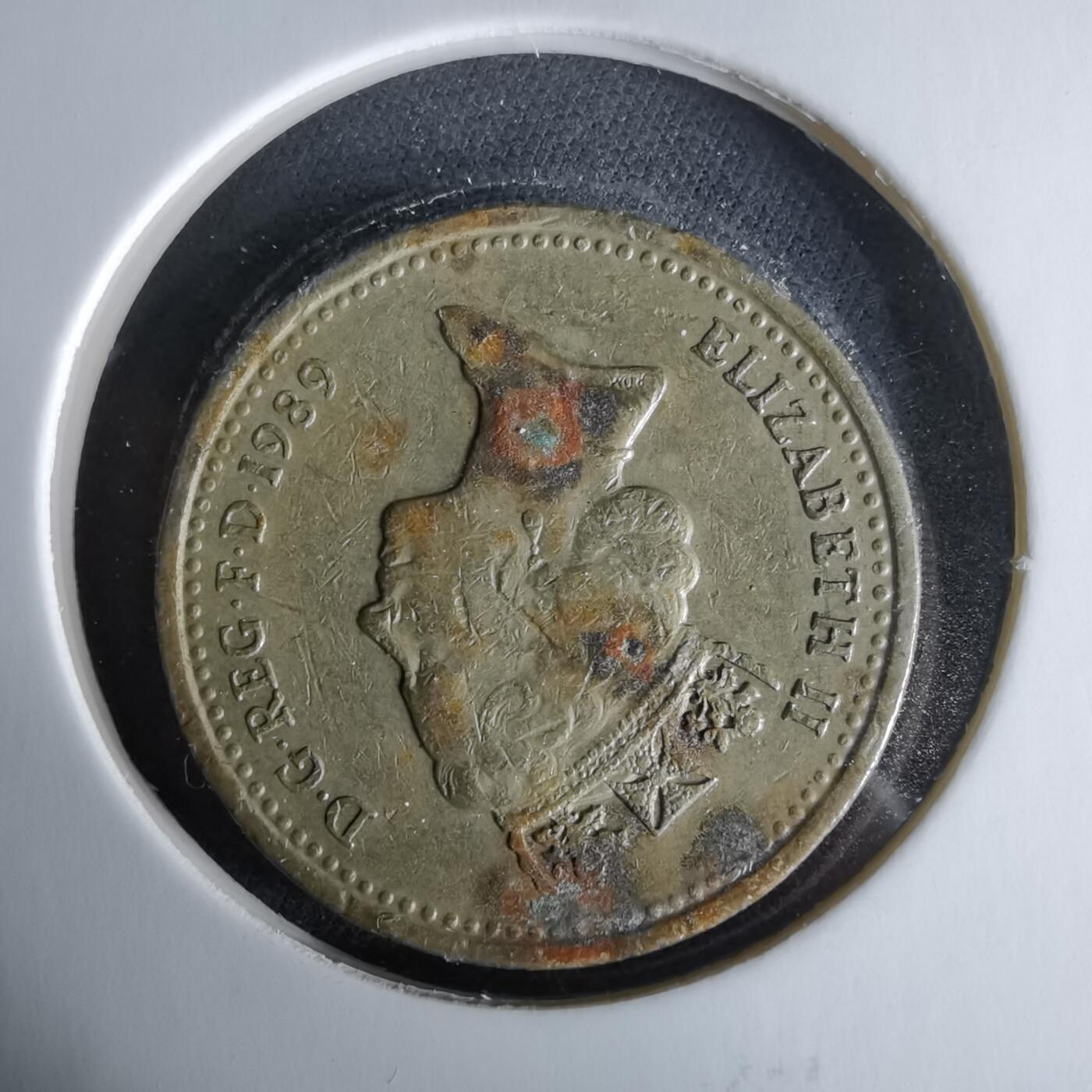 沼泽如烟--第958场