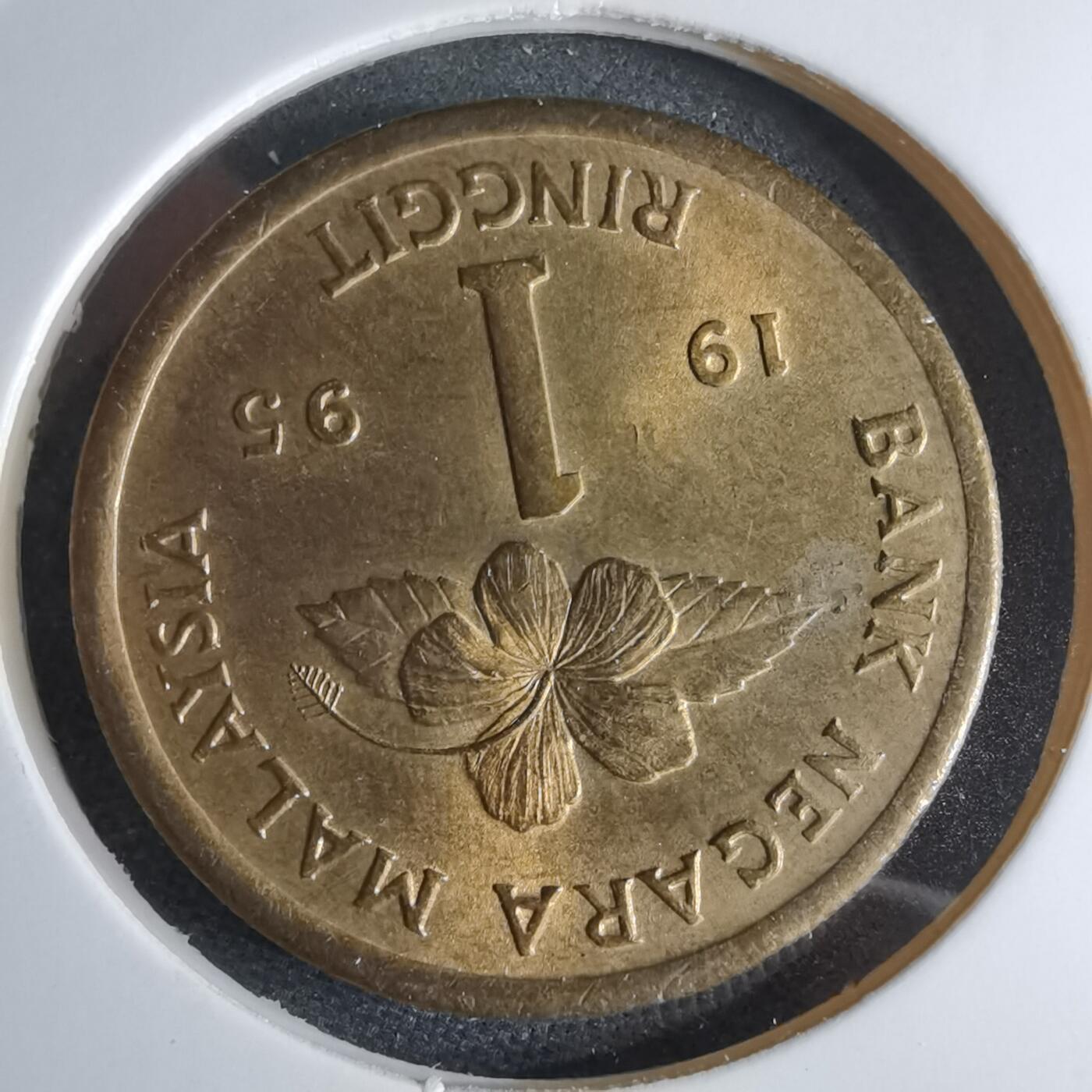 沼泽如烟--第959场 本期开始不支持出价小数点，感谢理解