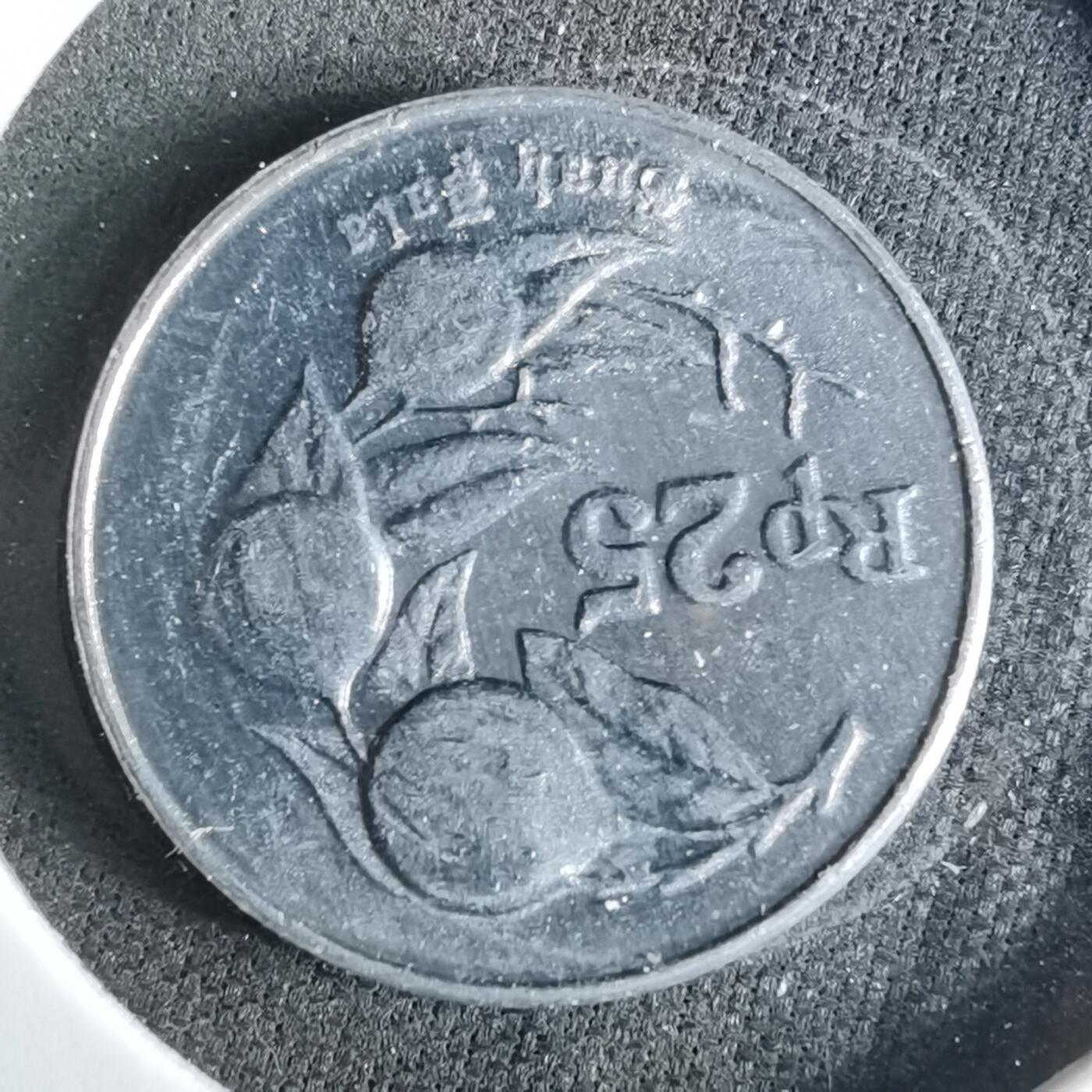 沼泽如烟--第958场