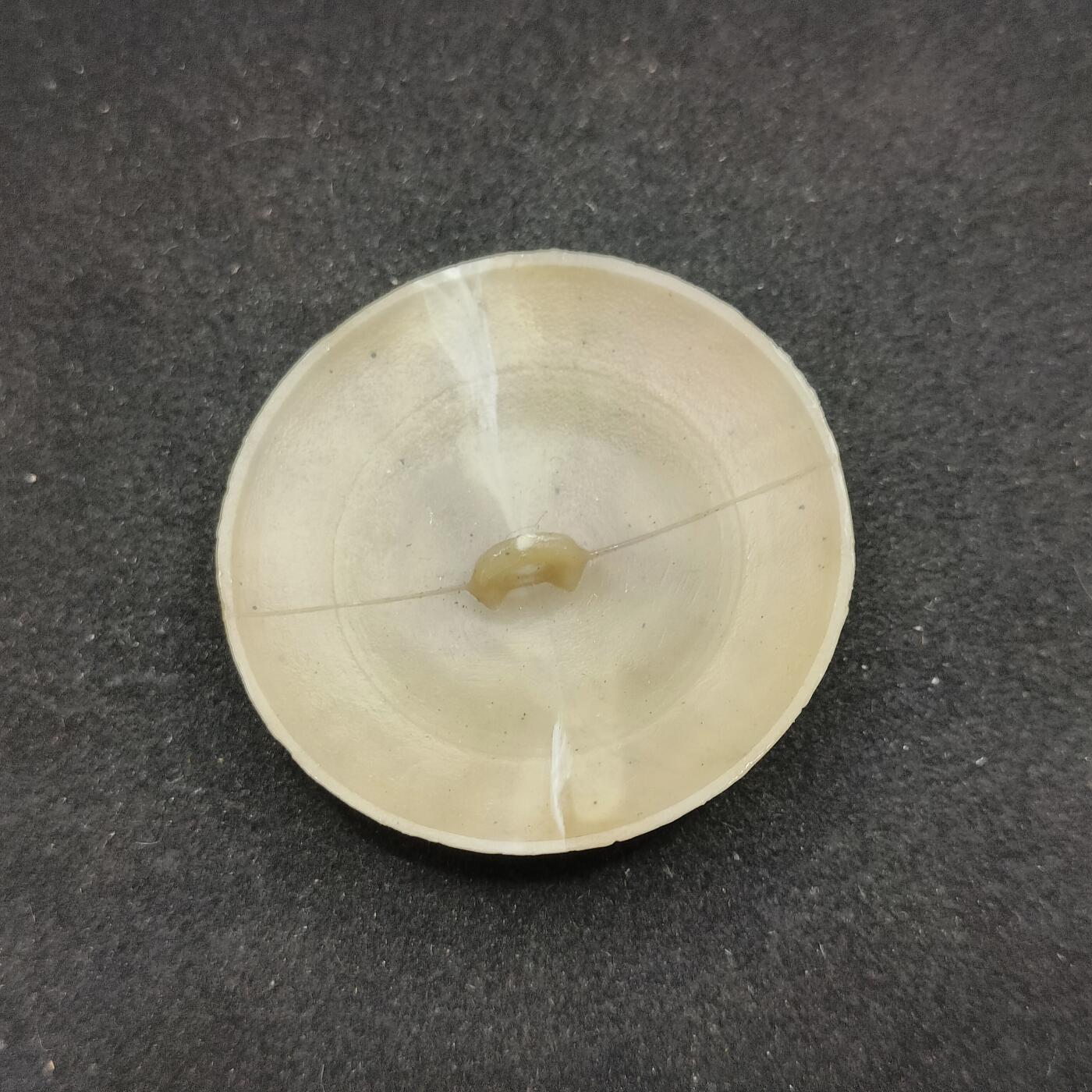 0元起拍勋章 第325期 咸鱼国勋章拍卖专场 1月14日（周三）下午6：00开始