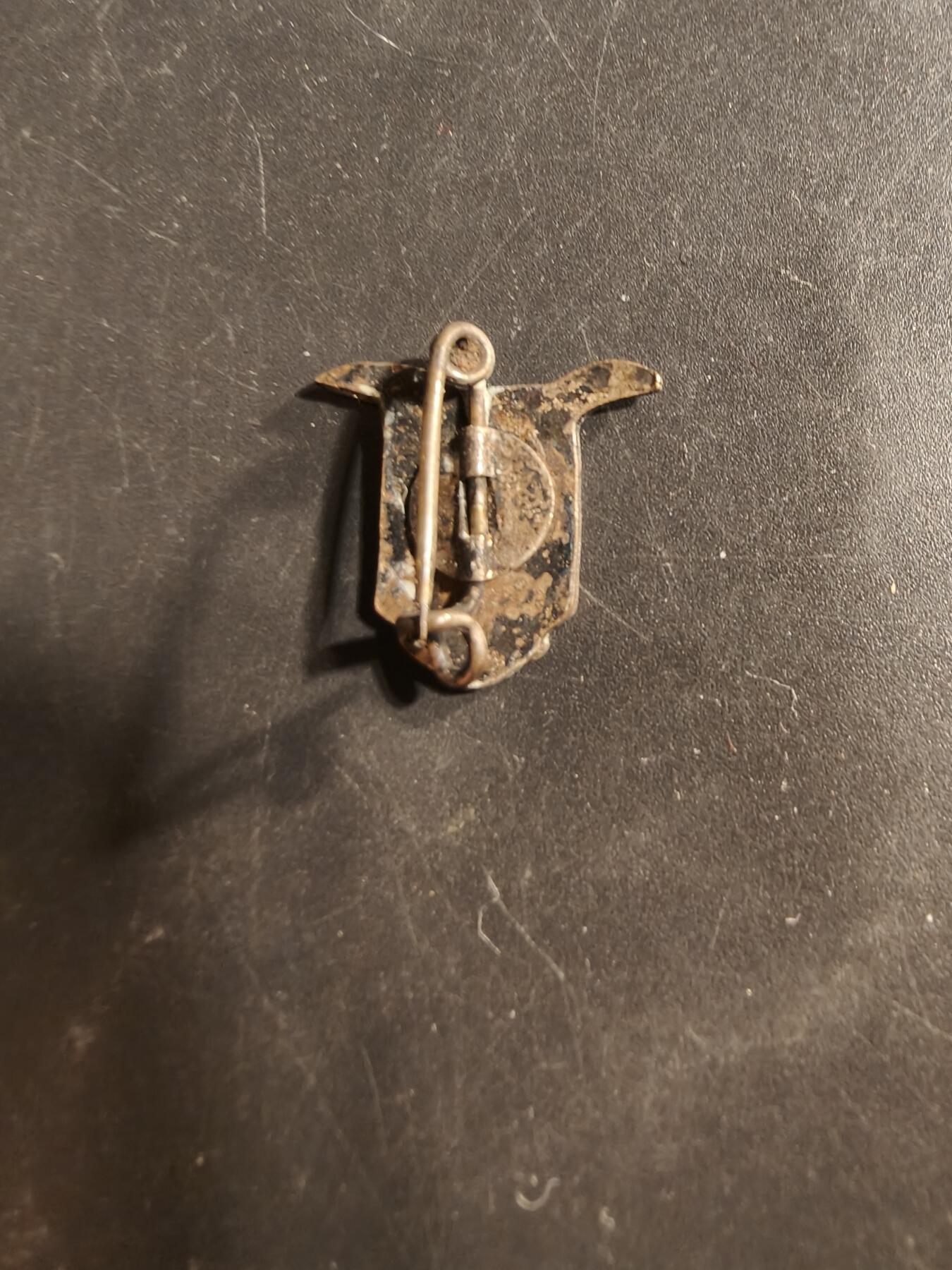 老王徽章第176期