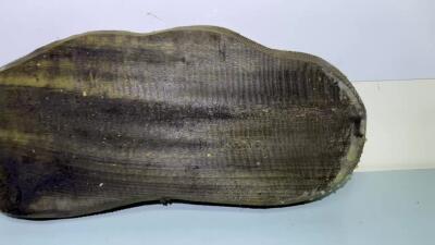 零元拍： NO.60 满纹满金丝雨滴纹 金丝楠 茶盘，尺寸约435/180/厚39MM，2.6公斤满果香，满金丝满水波，未上漆上蜡