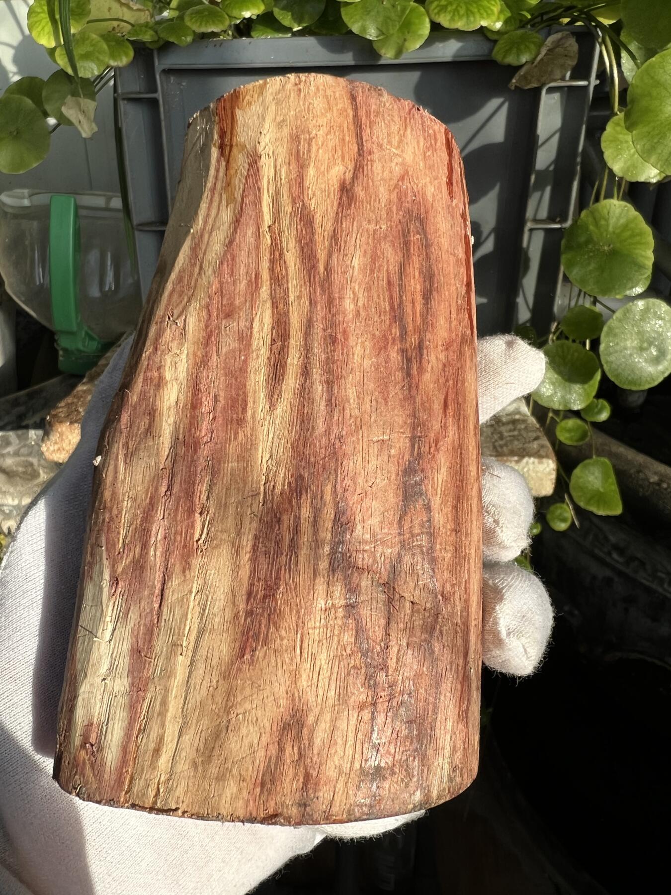 零元拍：  NO.40-1海南黄花梨原料。鬼眼很多哦，尺寸约125/80/60MM