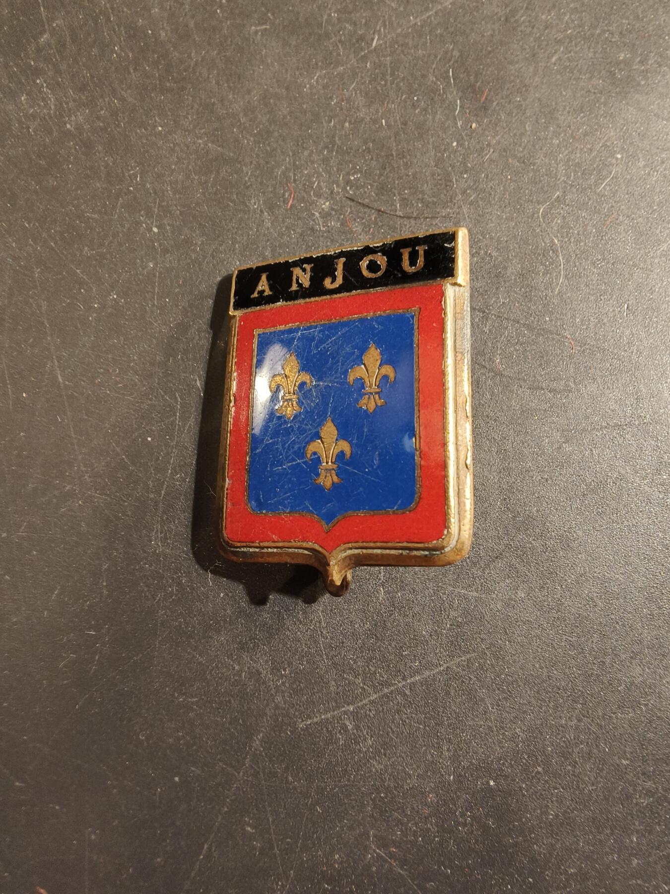 老王徽章第176期 法国昂热省证章