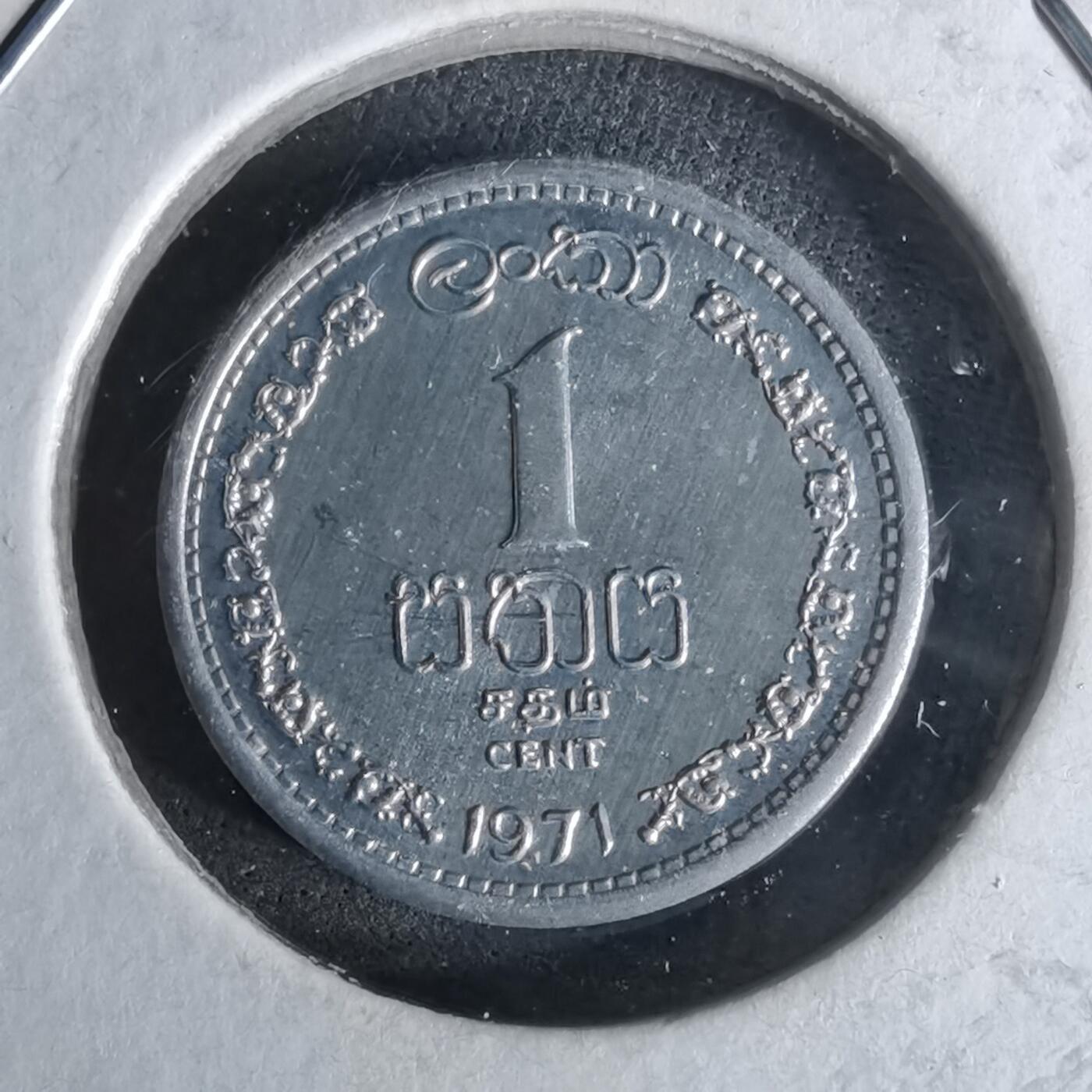 沼泽如烟--第958场