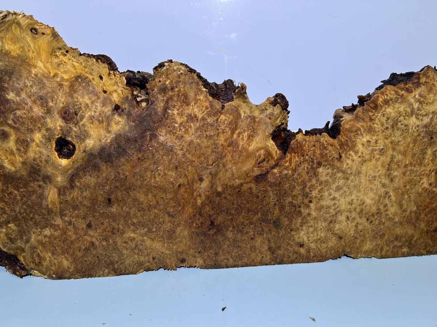 零元拍：NO78香杉木老根榴茶盘，尺寸约：750/180/250/35厚MM，满花满瘤，药香满鼻，无漆无蜡