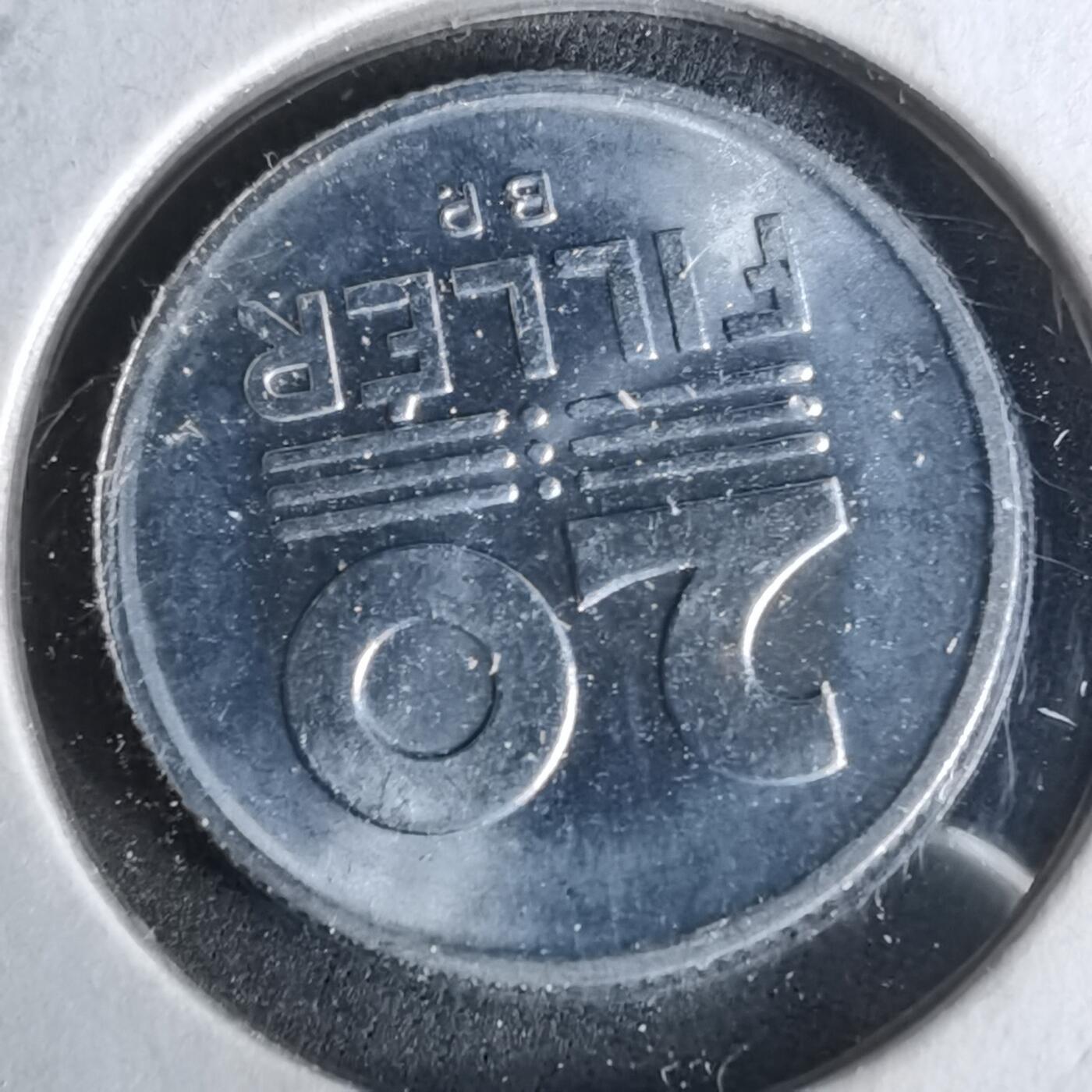 沼泽如烟--第958场