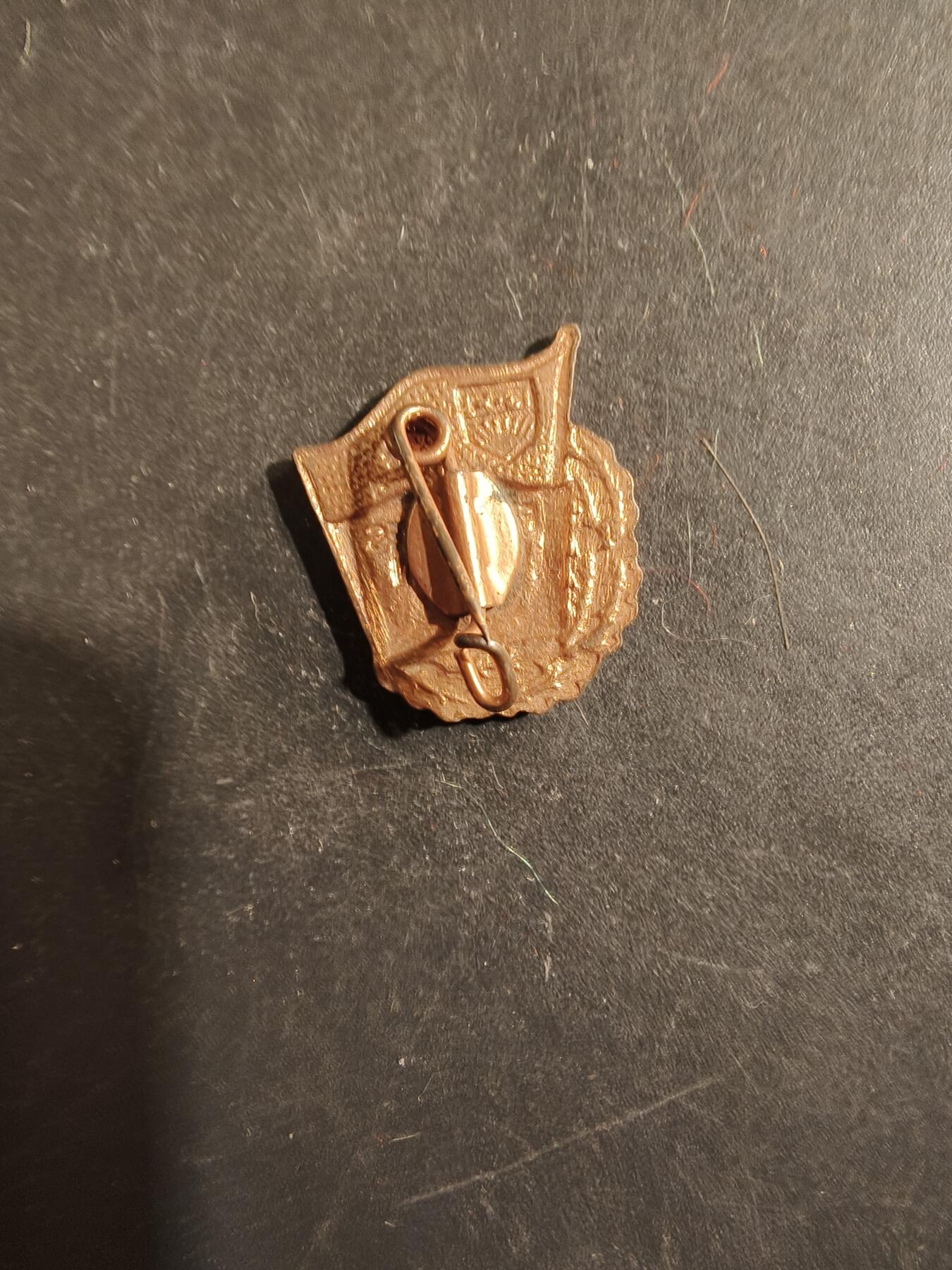 老王徽章第176期