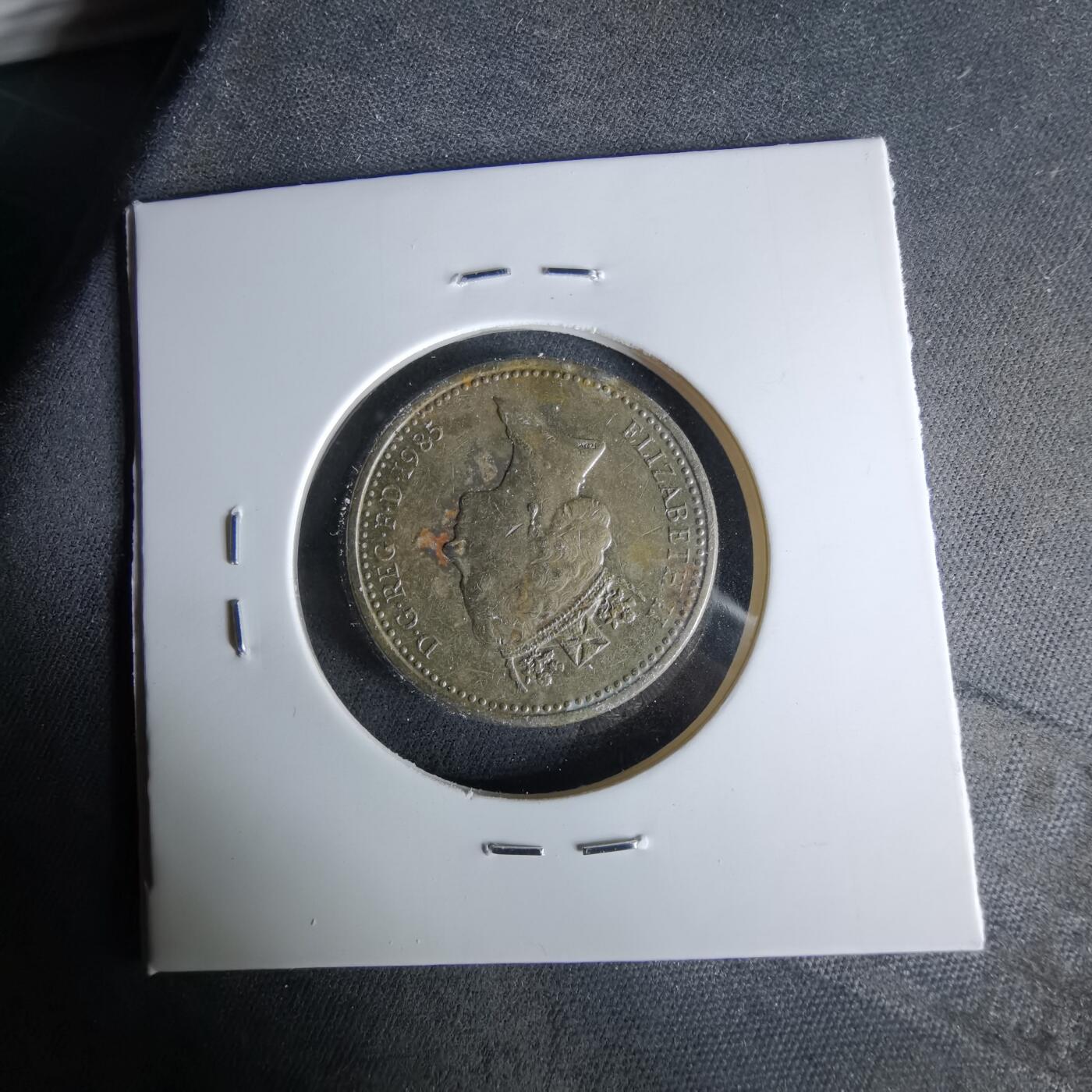 沼泽如烟--第958场