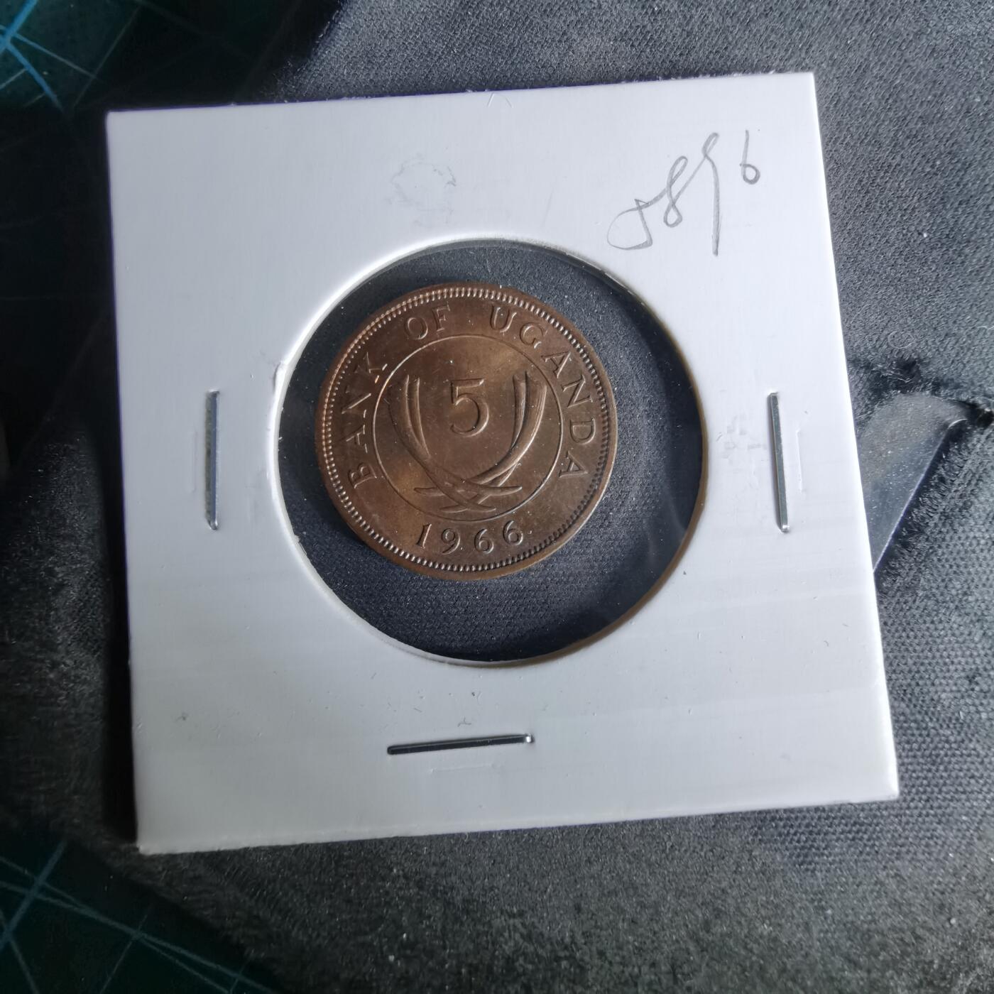 沼泽如烟--第958场