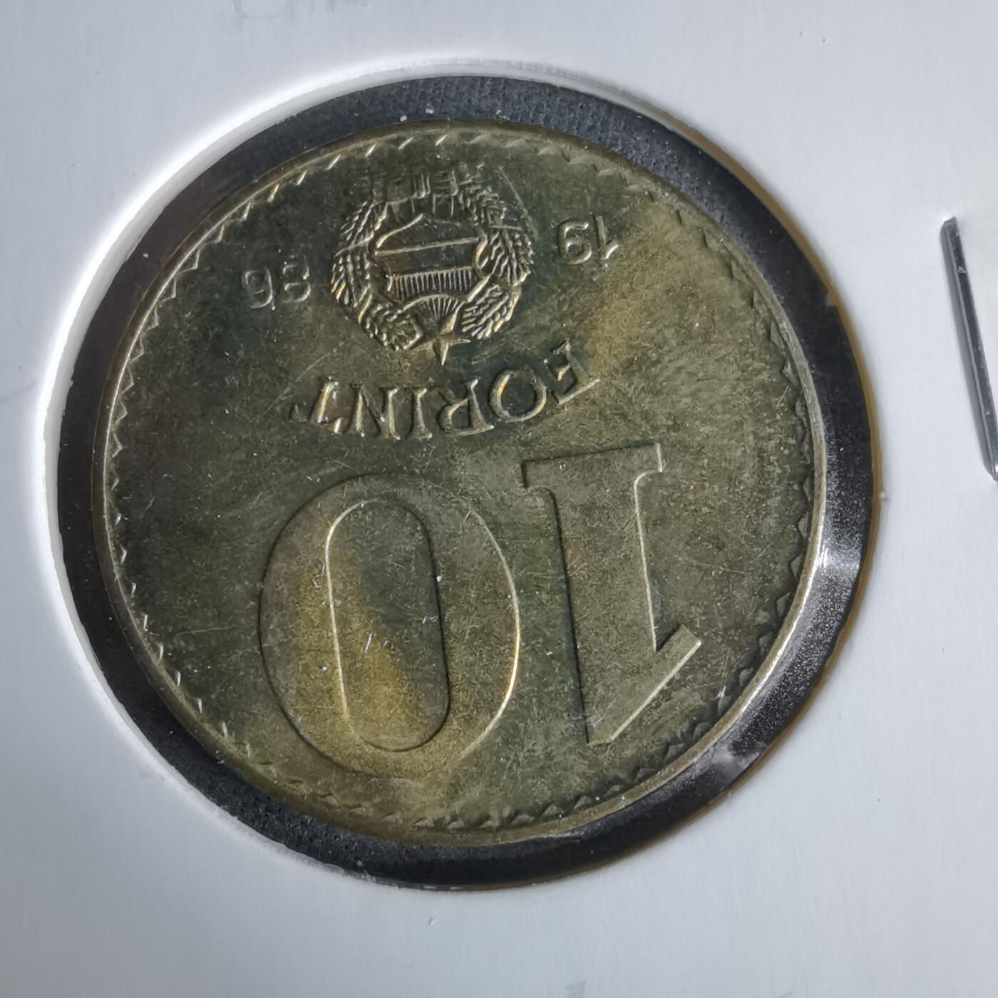 沼泽如烟--第960场