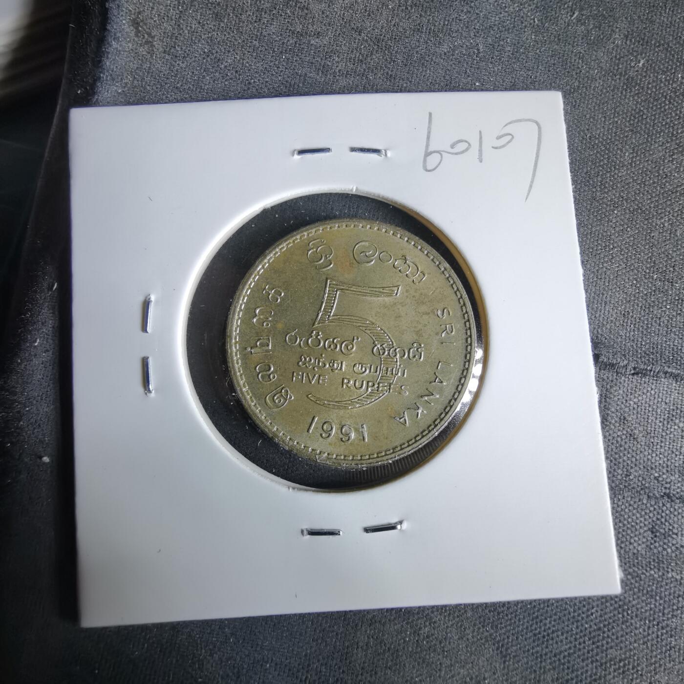 沼泽如烟--第960场