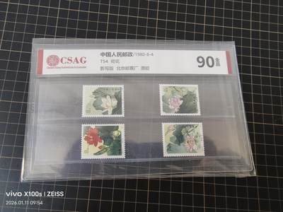 T54荷花 - T54荷花