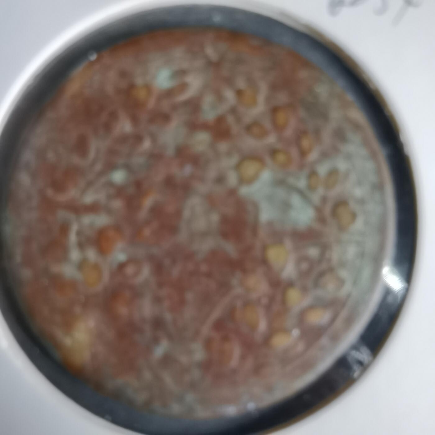 沼泽如烟--第960场 民国十五年二百文中心川