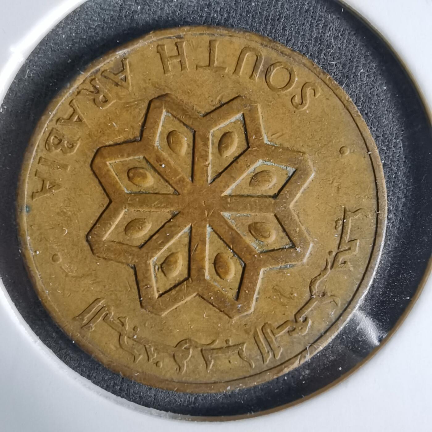 沼泽如烟--第960场