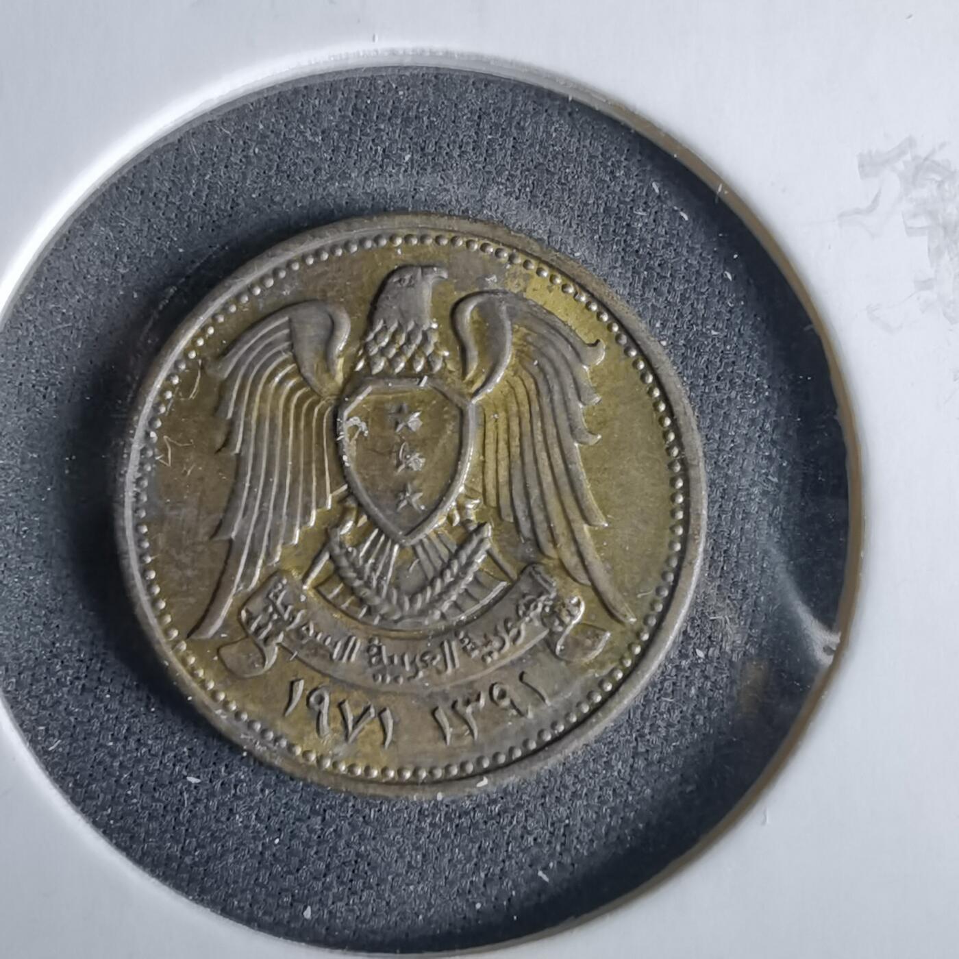 沼泽如烟--第960场