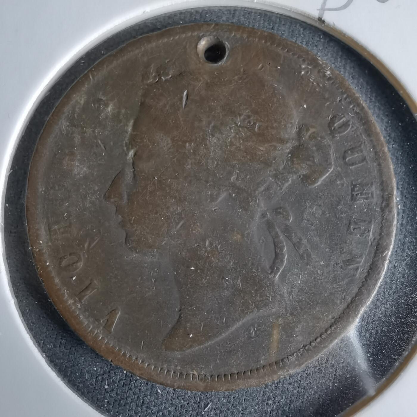 沼泽如烟--第960场