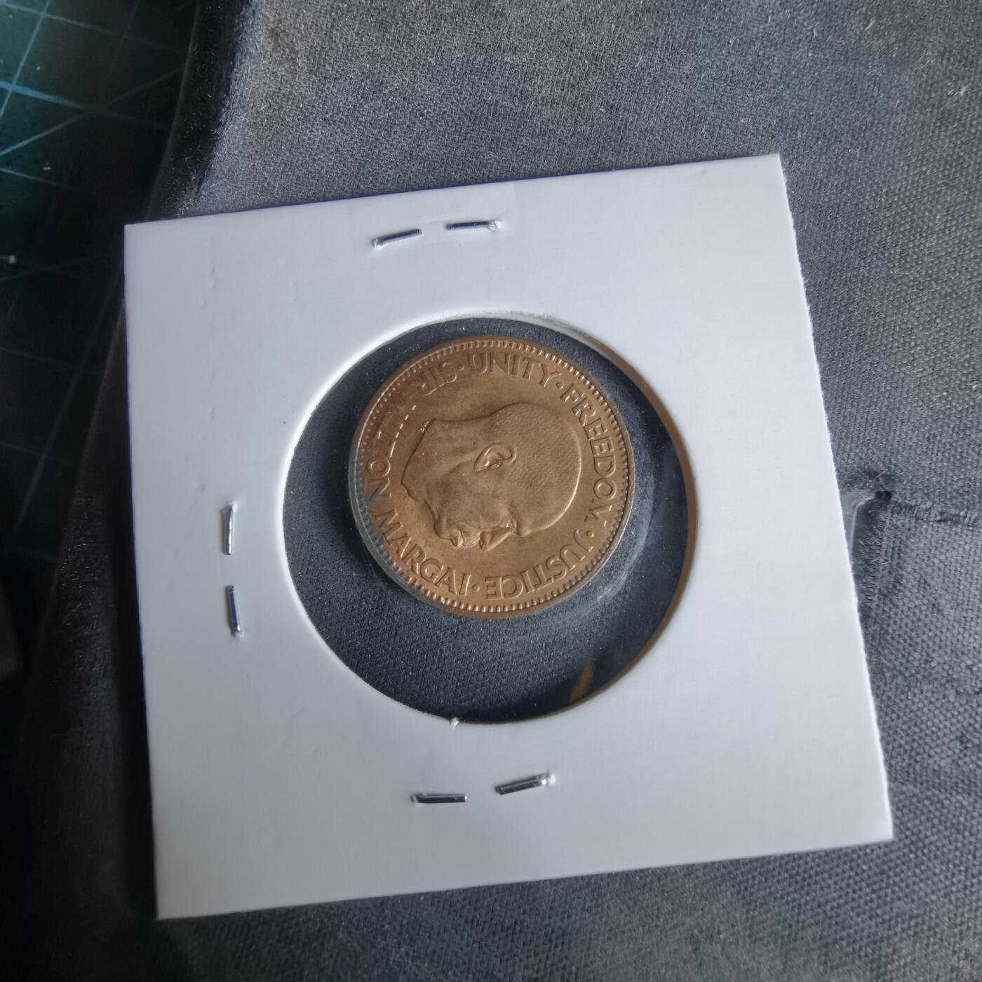 沼泽如烟--第960场