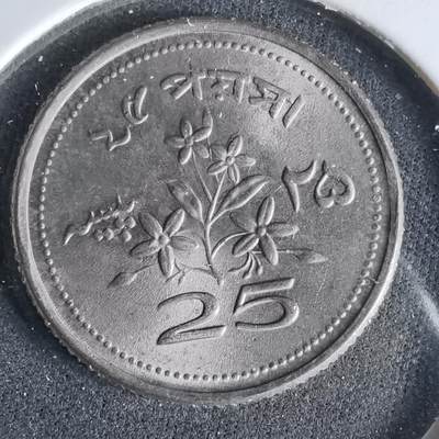 沼泽如烟--第960场 - 巴基斯坦1974年25派沙