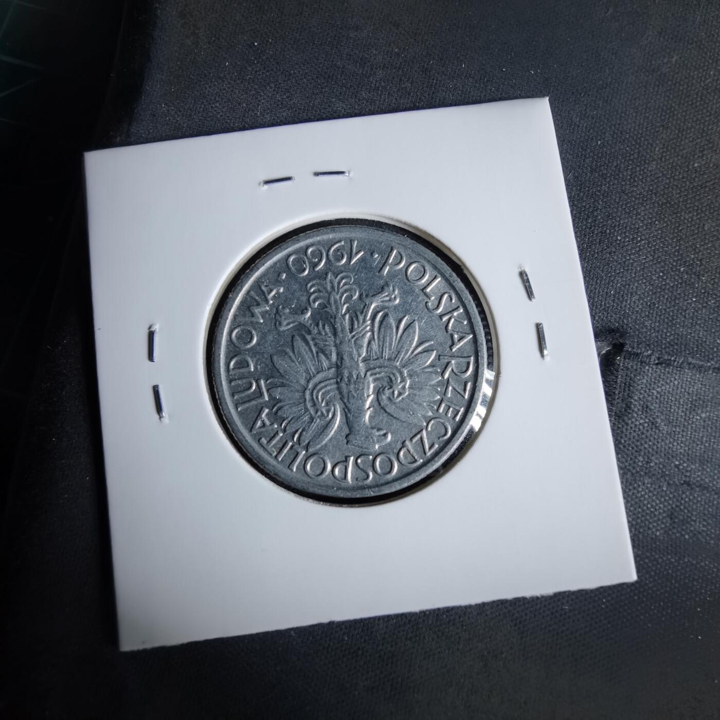 沼泽如烟--第960场