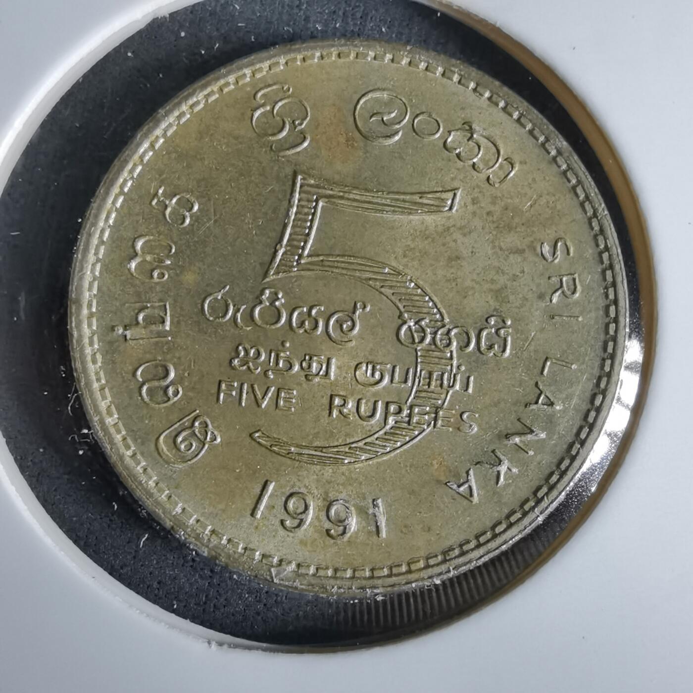 沼泽如烟--第960场