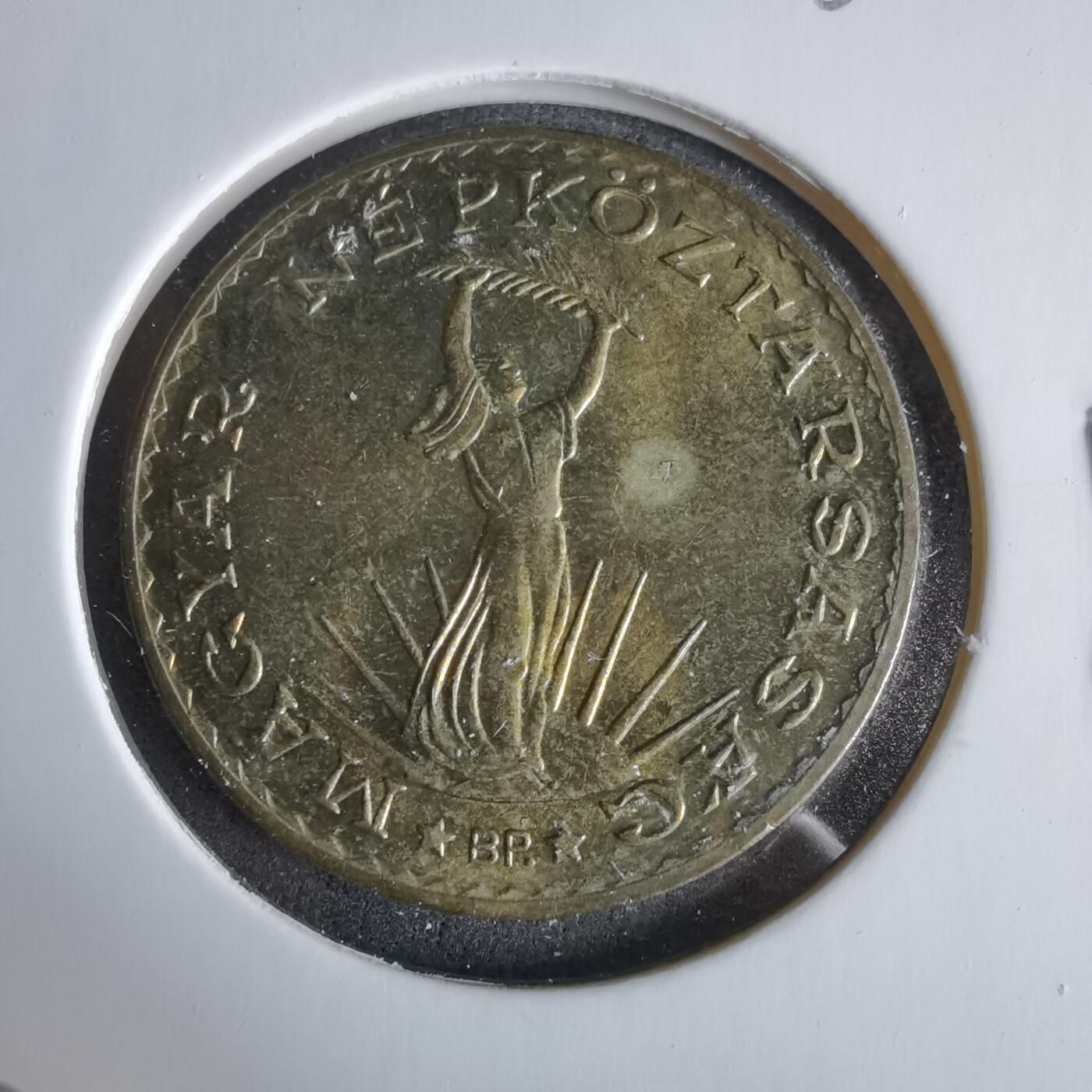 沼泽如烟--第960场