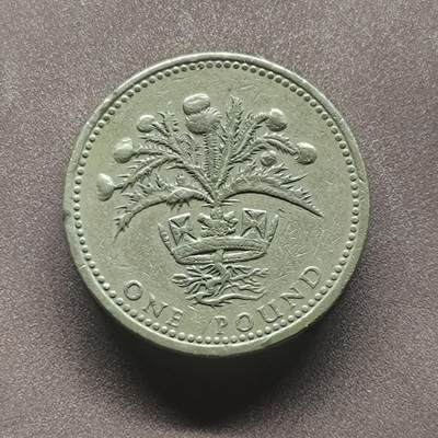 【日月同辉 第2场】世界钱币 银币 - 1989年英国1英镑