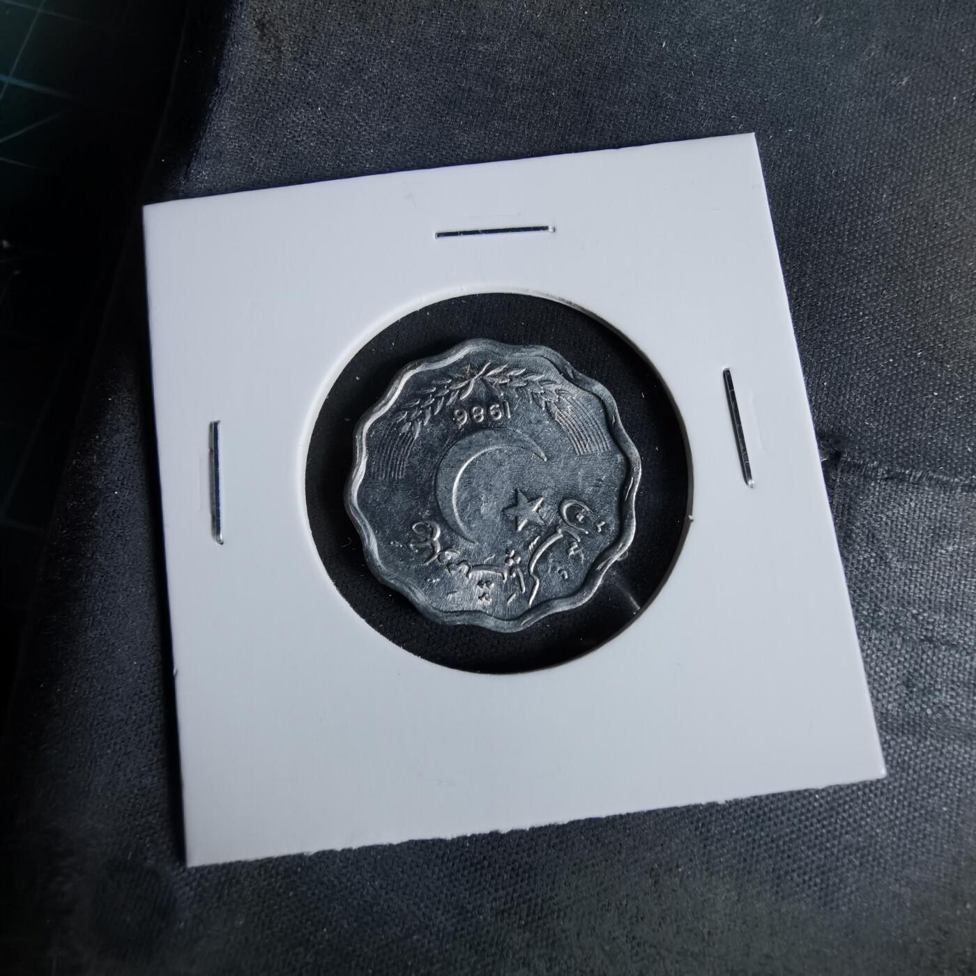 沼泽如烟--第960场