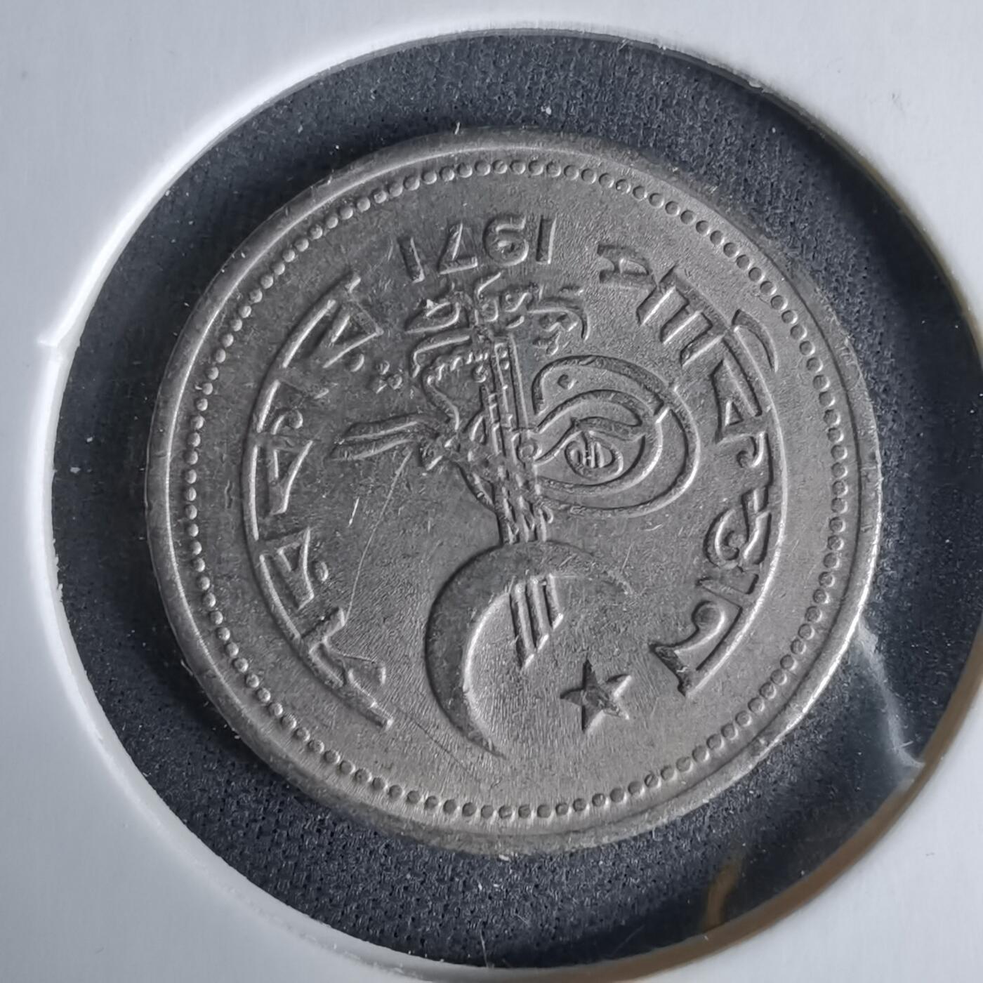 沼泽如烟--第960场