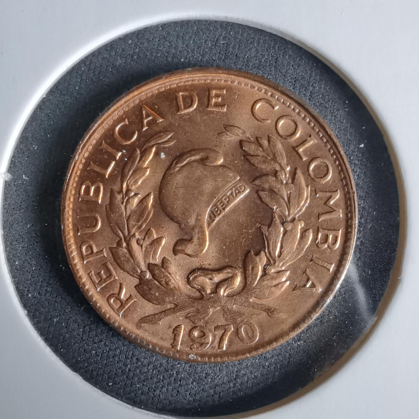 沼泽如烟--第960场