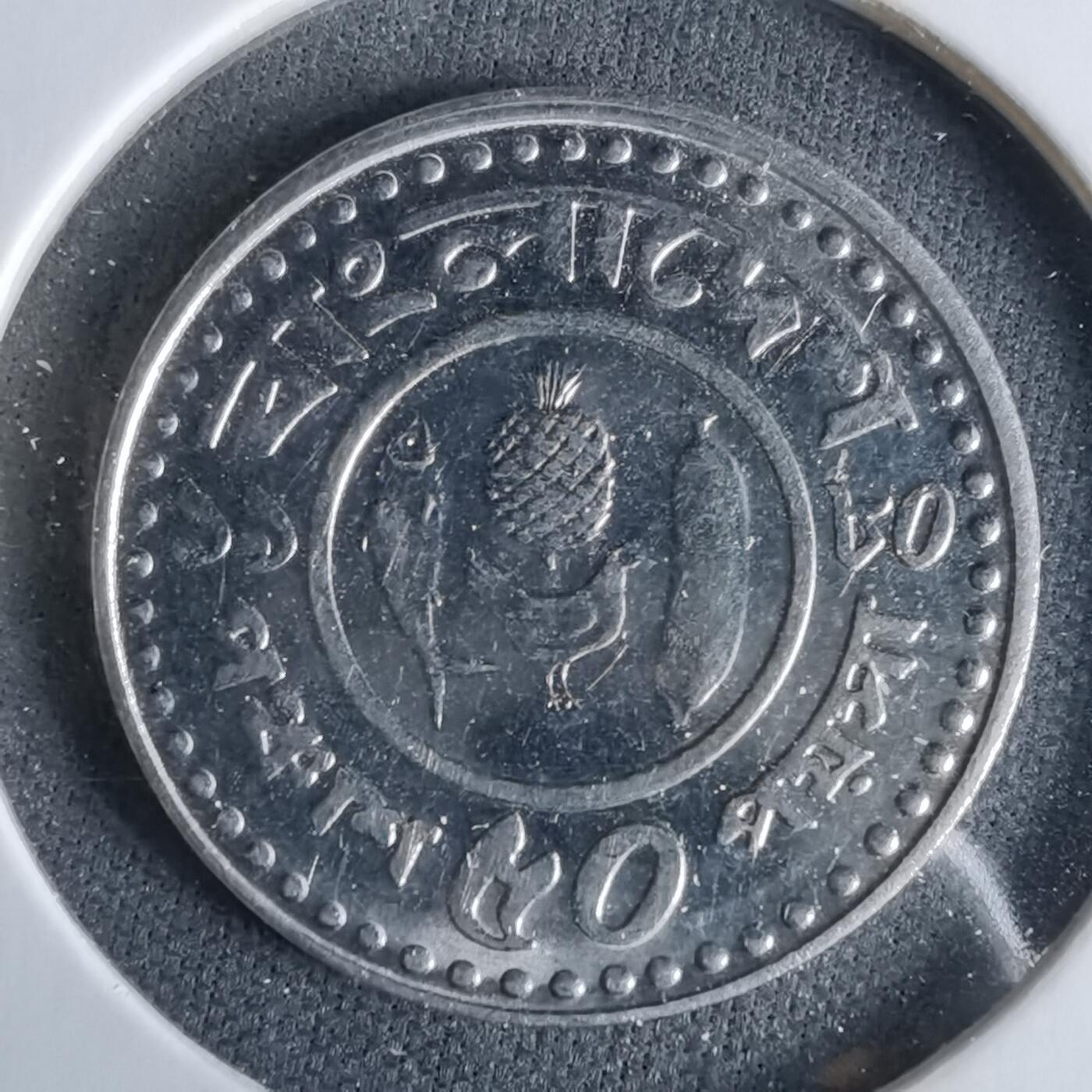 沼泽如烟--第960场