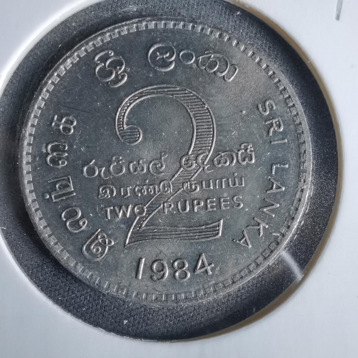 沼泽如烟--第960场