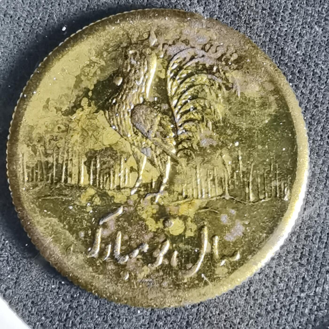 沼泽如烟--第960场