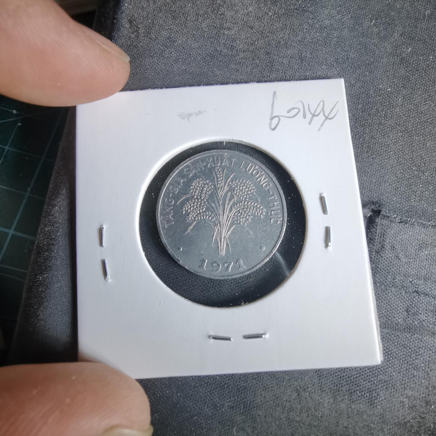 沼泽如烟--第960场