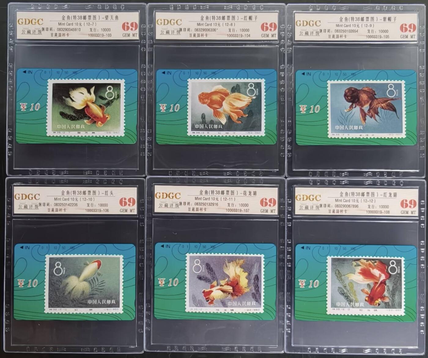 公藏第129期评级卡拍卖 甘肃田村卡（金鱼）12全公藏69分。公藏评级专业有钢印码及防伪标。