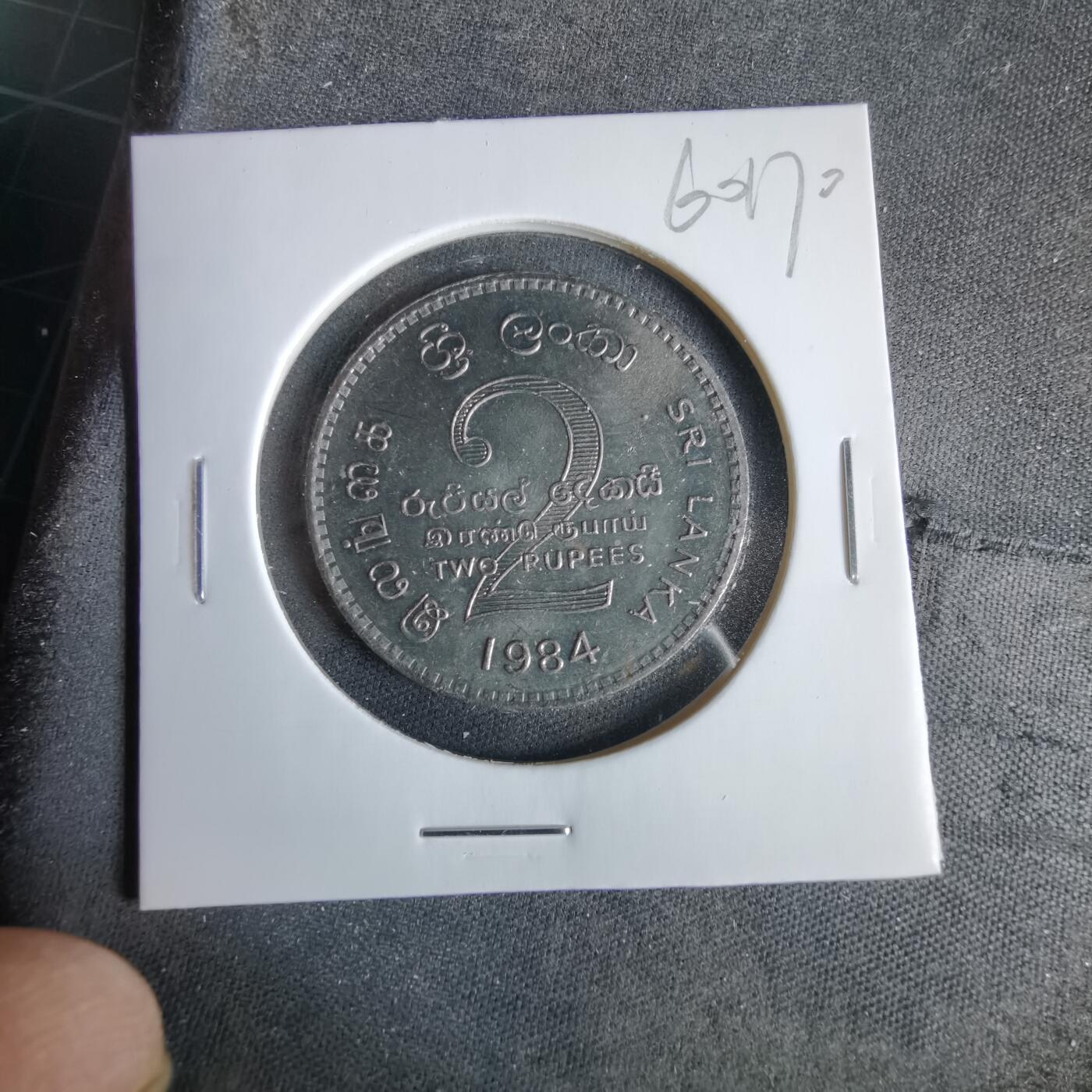 沼泽如烟--第960场