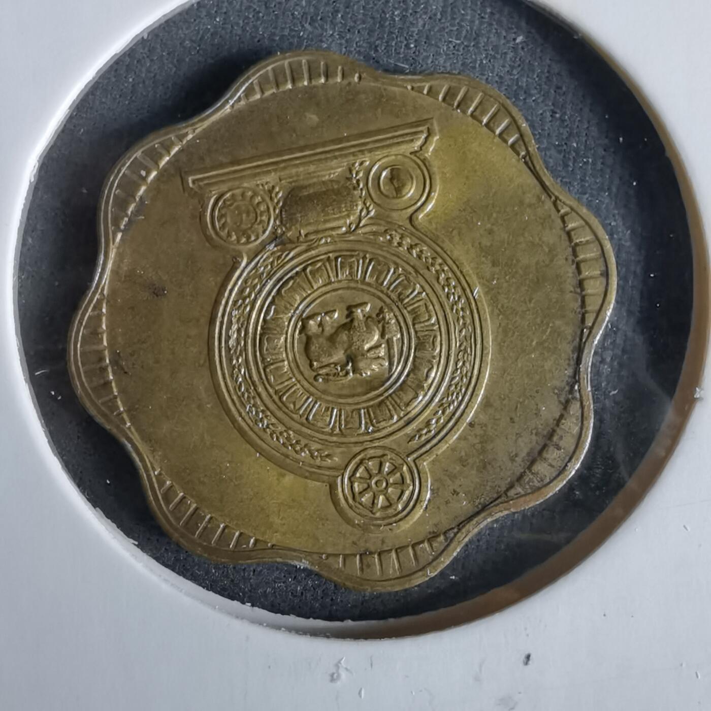 沼泽如烟--第960场