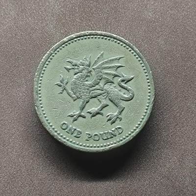 【日月同辉 第2场】世界钱币 银币 - 1995年英国1英镑