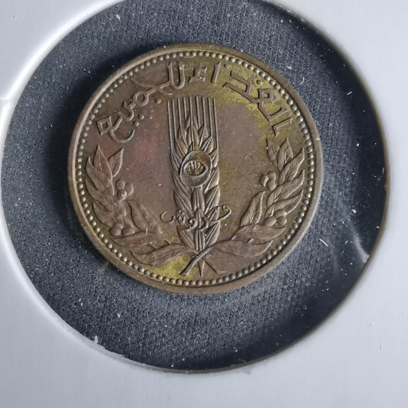 沼泽如烟--第960场